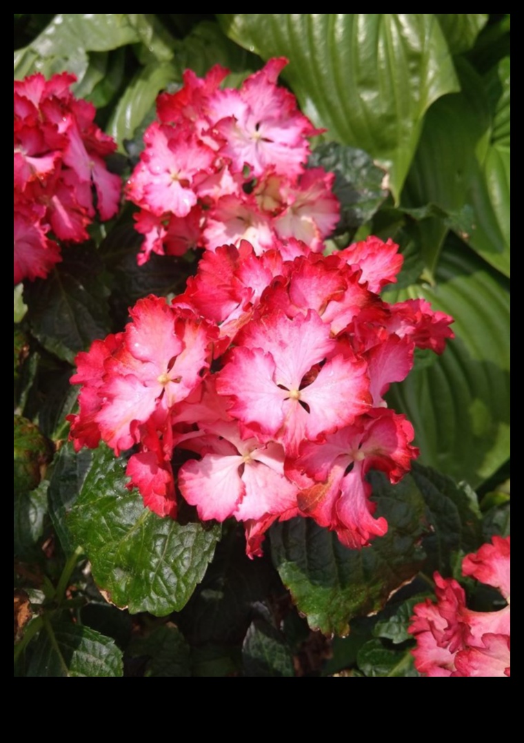 Garden Harmony Καλλιεργήστε την ομορφιά με εξειδικευμένη φροντίδα 5 Garden Harmony: Καλλιεργήστε την ομορφιά με εξειδικευμένη φροντίδα