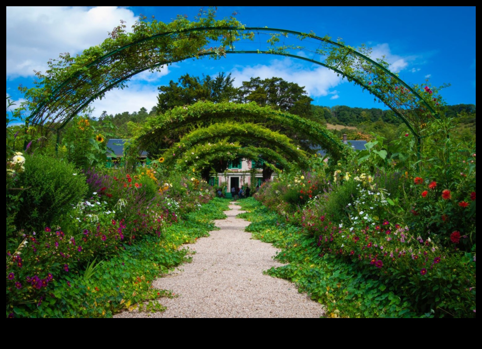 Garden Harmony Καλλιεργήστε την ομορφιά με εξειδικευμένη φροντίδα 4 Garden Harmony: Καλλιεργήστε την ομορφιά με εξειδικευμένη φροντίδα