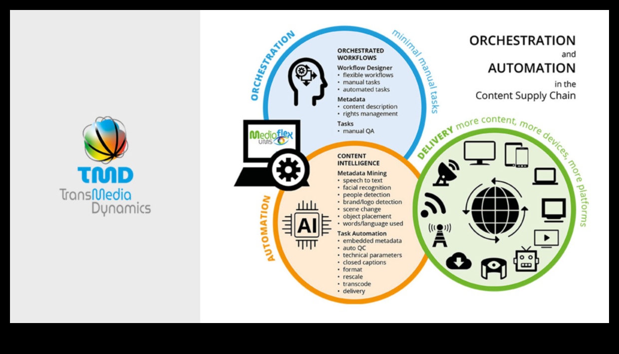 Ψηφιακός καμβάς: Ενορχηστρωτική επιτυχία στη διαχείριση περιεχομένου