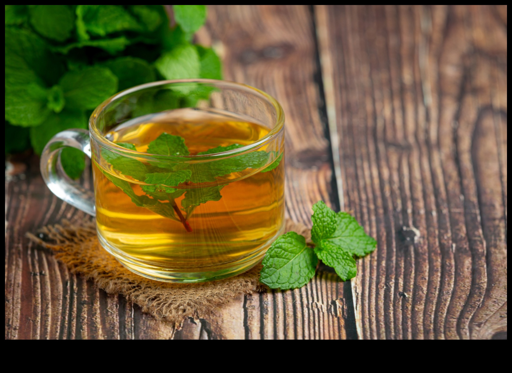 The Cooling Elixir Ένας οδηγός για τα οφέλη του τσαγιού μέντας 2 The Cooling Elixir: Exploring the Wonders of Peppermint Tea