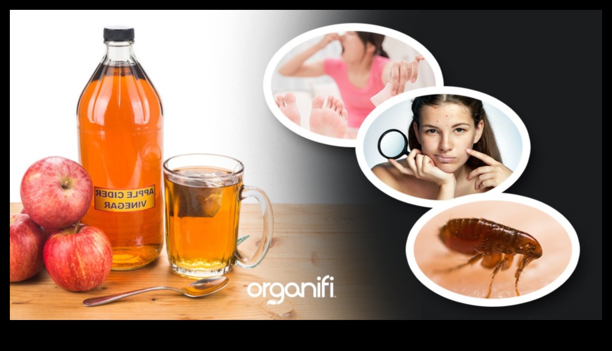 DIY ACV Adventures 50+ δημιουργικοί τρόποι χρήσης του μηλόξιδου για υγεία και ευεξία 4 DIY ACV Adventures: Δημιουργία μοναδικών και γευστικών παρασκευασμάτων υγείας