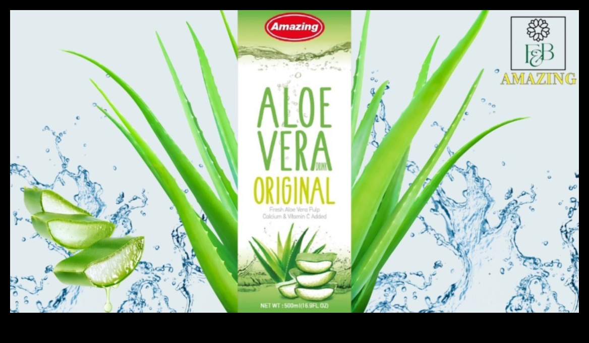 Aloe Symphony Ένα αρμονικό μείγμα γεύσεων για ένα αναζωογονητικό ποτό 3 Aloe Symphony: Εναρμονίζοντας τις Γεύσεις στο αναζωογονητικό σας ποτό