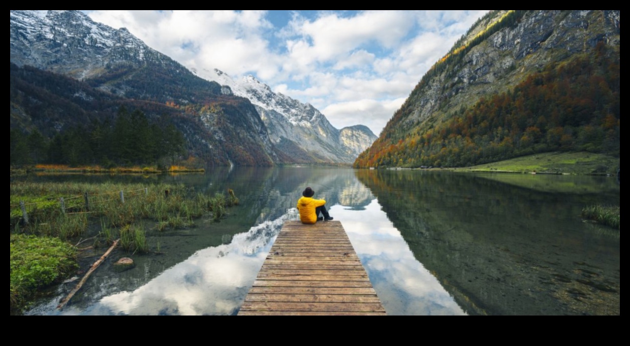 Τα καθίσματα της φύσης Φέρτε την ομορφιά του εξωτερικού χώρου μέσα 5 Nature's Seating: Εισάγετε γοητεία στον υπαίθριο καταφύγιό σας