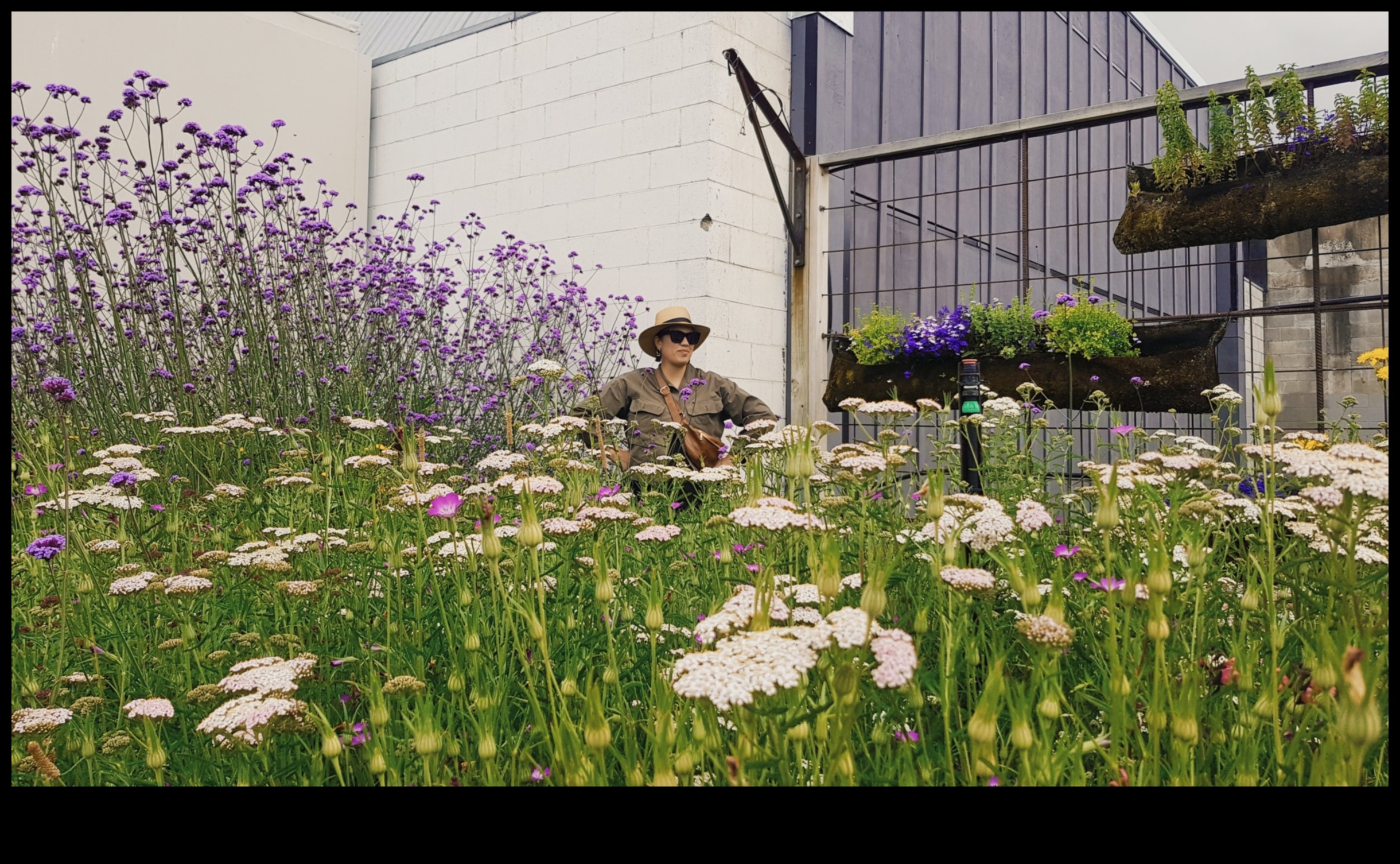 Garden Gems Ένας οδηγός για το Mastering Pro Garden Care 4 Garden Gems: Ξεκλείδωμα των μυστικών του Pro Garden Care