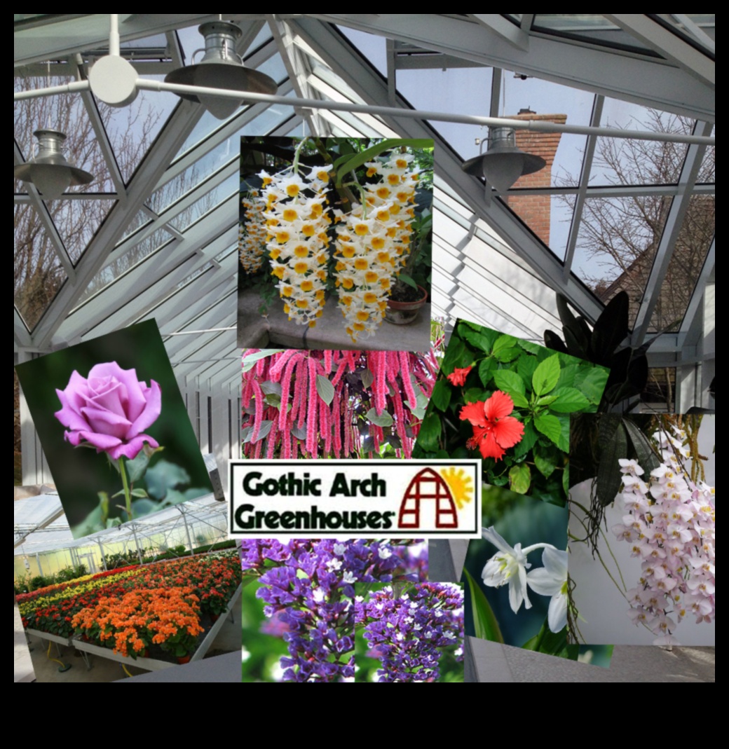 Bountiful Blossoms Greenhouse Treasures AwaitΈνας οδηγός για τα καλύτερα λουλούδια που καλλιεργούνται στο θερμοκήπιό σας 2 Bountiful Blossoms: Greenhouse Treasures Await