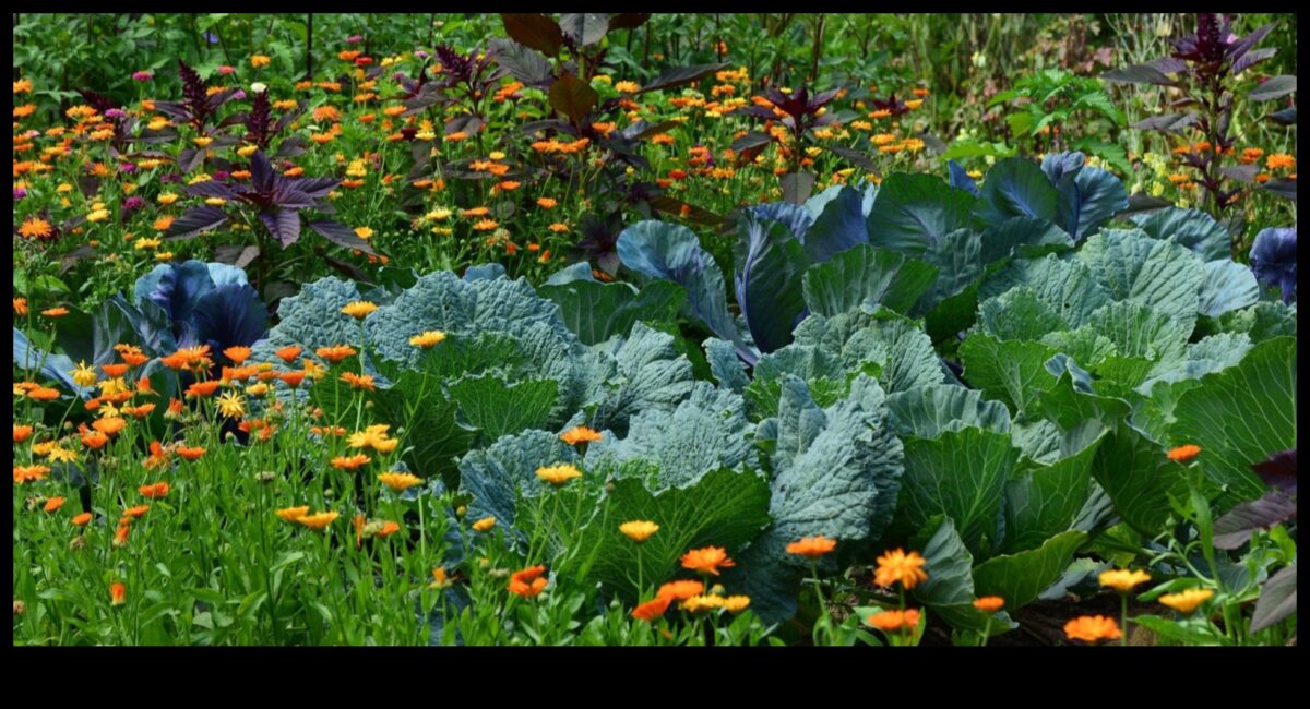 Blossom Bonds: Mastering the Art of Companion Planting