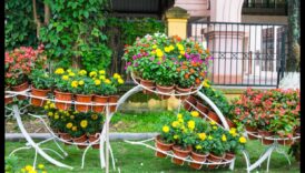 Blossom Brilliance: Radiant DIY Creations for Gardens