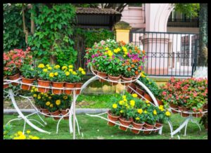 Blossom Brilliance: Radiant DIY Creations for Gardens