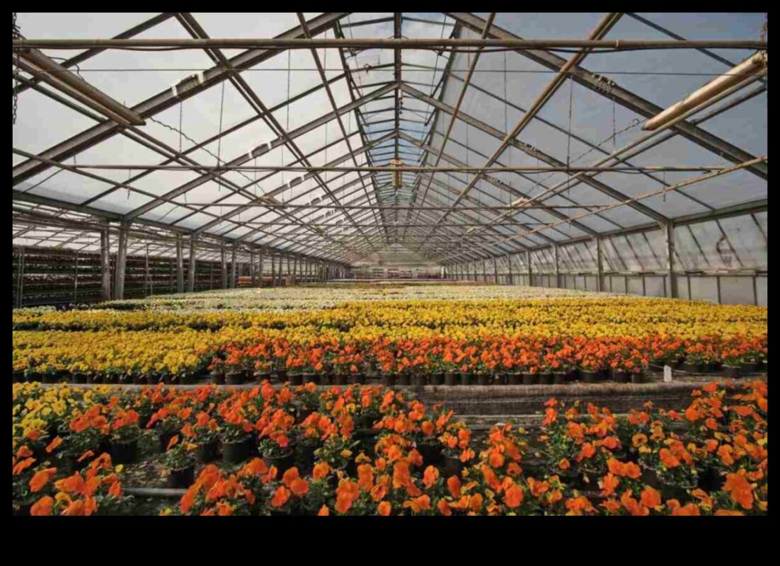 Bountiful Blossoms: Greenhouse Treasures Await