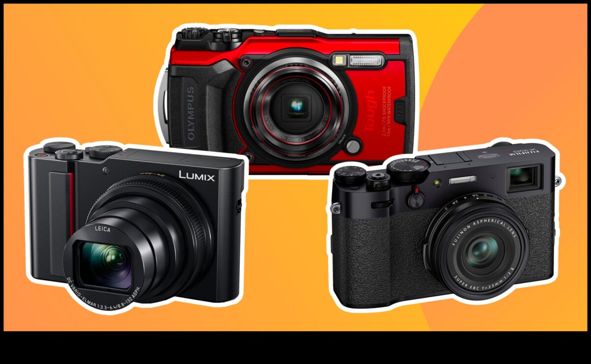 Συμπαγής δημιουργικότητα: Εξερεύνηση φωτογραφικών μηχανών με πλούσιες δυνατότητες με σημείο και λήψη