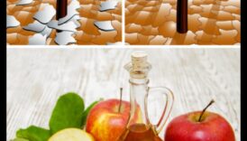 DIY ACV Adventures: Δημιουργία μοναδικών και γευστικών παρασκευασμάτων υγείας