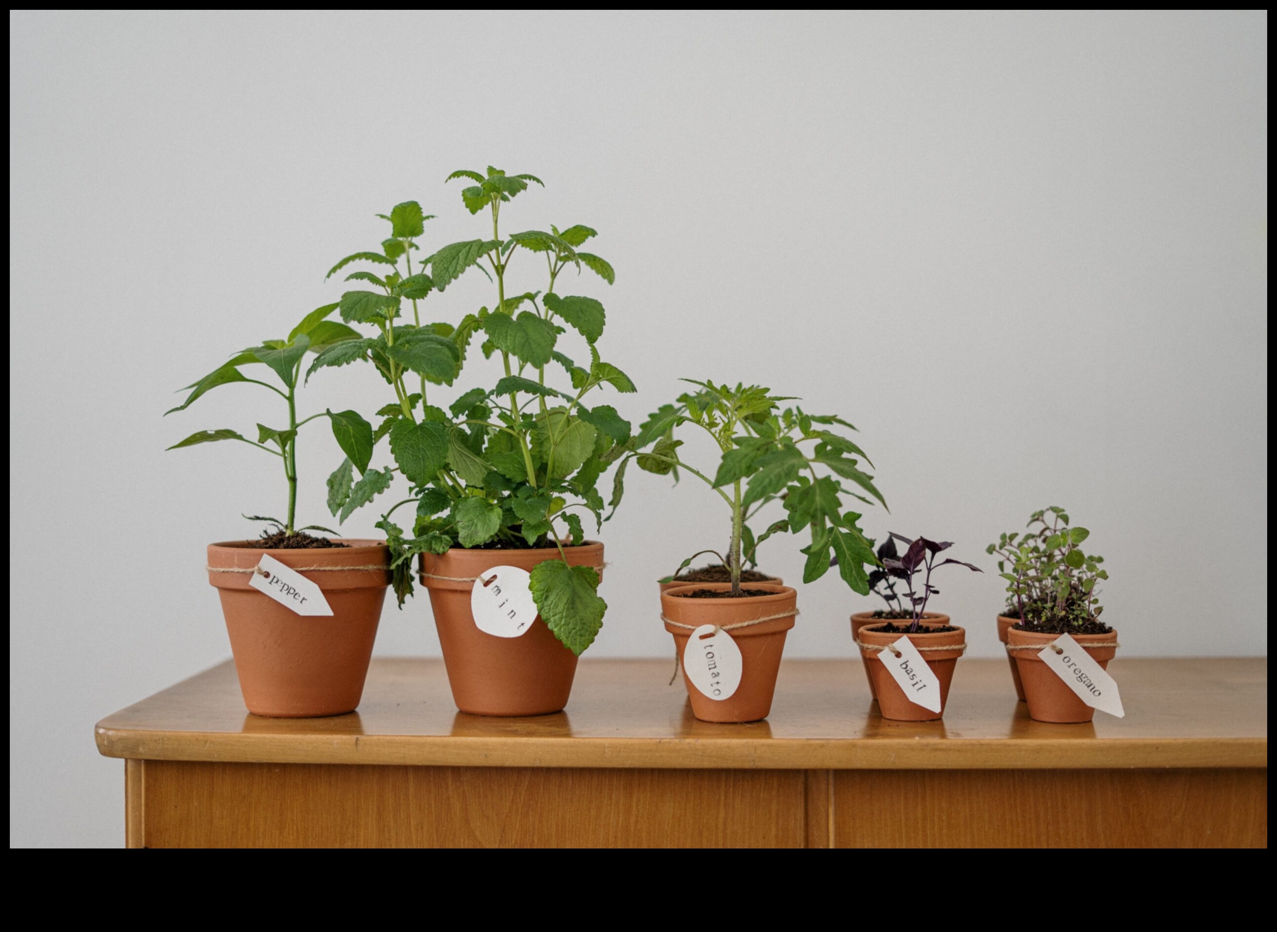 Eco-Chic Gardens DIY Wonders για κάθε πράσινο ενθουσιώδη 1 Eco-Chic Gardens: Sustainable DIY Wonders για κάθε πράσινο ενθουσιώδη