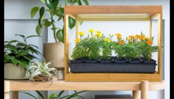 Green Thumb Artistry: Δημιουργικά DIY για να ευχαριστήσετε τον κήπο σας