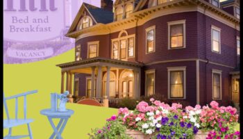 Haven Handbook: A Comprehensive Guide to Stays