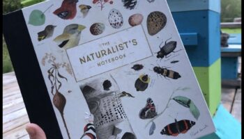 Nature's Notebook: Scribbling Stories of Outdoor Encounters