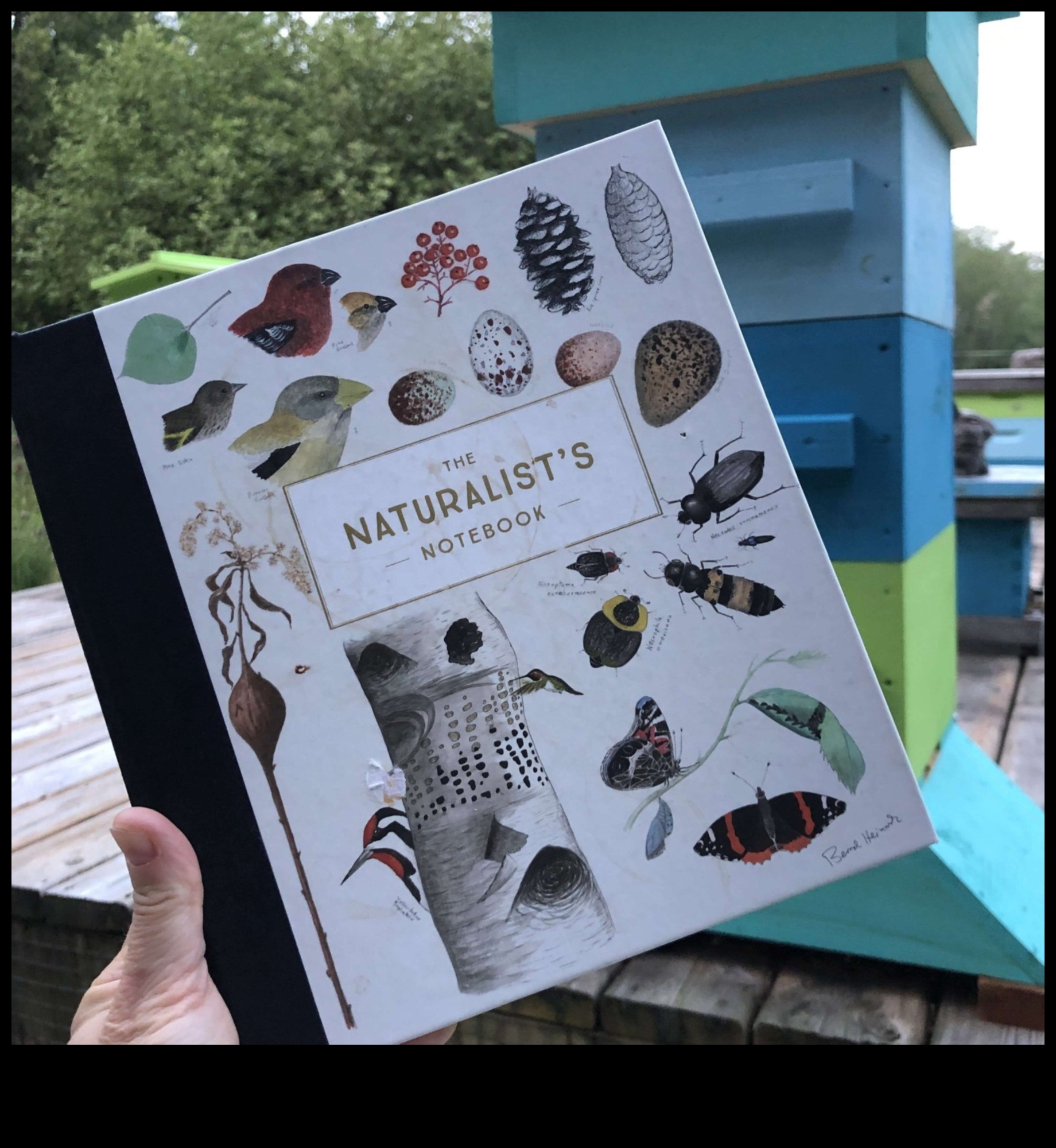 Nature's Notebook: Scribbling Stories of Outdoor Encounters