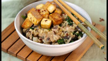 Rice Bowl Revelations: Asian Comfort Food Classics