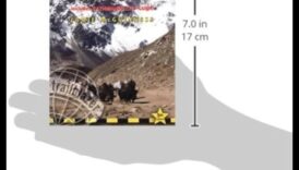 Trailblazer's Trek: Your Handbook to Guided Walks