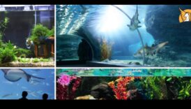 Vivid Voyages Μια παλέτα πολυτελών ταξιδιωτικών περιπετειών για τον προκλητικό ταξιδιώτη 6 Vivid Voyages: A Palette of Luxurious Travel Adventures