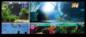 Vivid Voyages: A Palette of Luxurious Travel Adventures