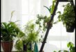 Window Sill Wonders: Mastering the Art of Indoor Gardening