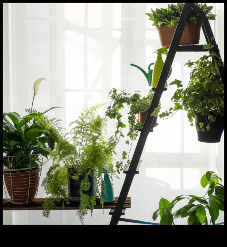 Window Sill Wonders: Mastering the Art of Indoor Gardening