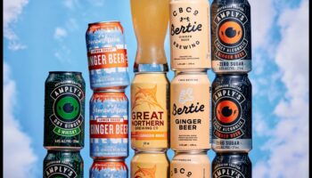 Zesty και Zingy: Ένας οδηγός για τη δημιουργία τέλειων μιγμάτων τζίντζερ