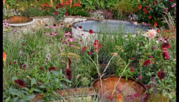 Bloom in Style: Ανακαλύψτε τα βασικά στοιχεία της μεταμορφωτικής διακόσμησης κήπου