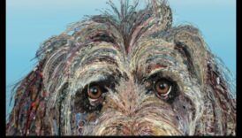 Wildlife Whispers: Communicating with Outdoor Creatures