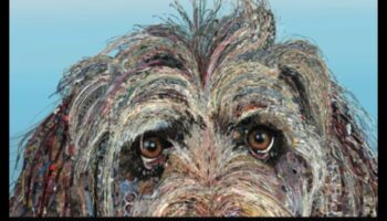 Wildlife Whispers: Communicating with Outdoor Creatures