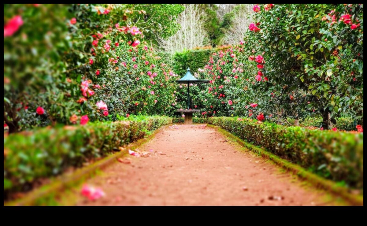 Καλλιτεχνική Αρμονία: Ανυψώστε τον κήπο σας με κομψές πινελιές