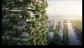 Tall Tales of Greenery: Vertical Gardening Adventures